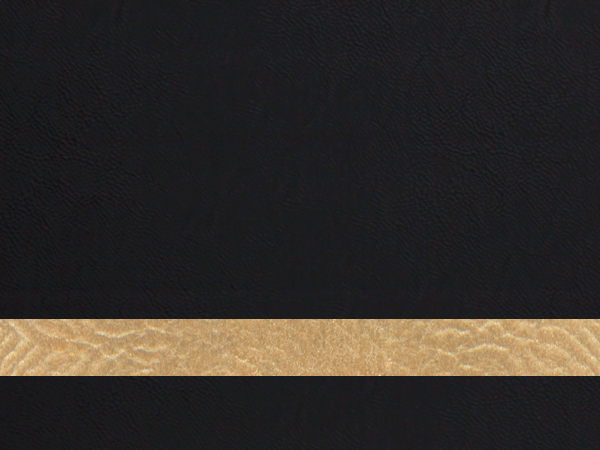 Custom Leatherette Patch