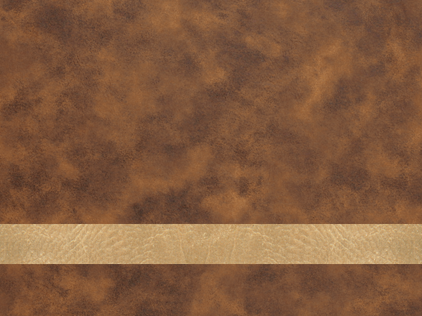 Custom Leatherette Patch